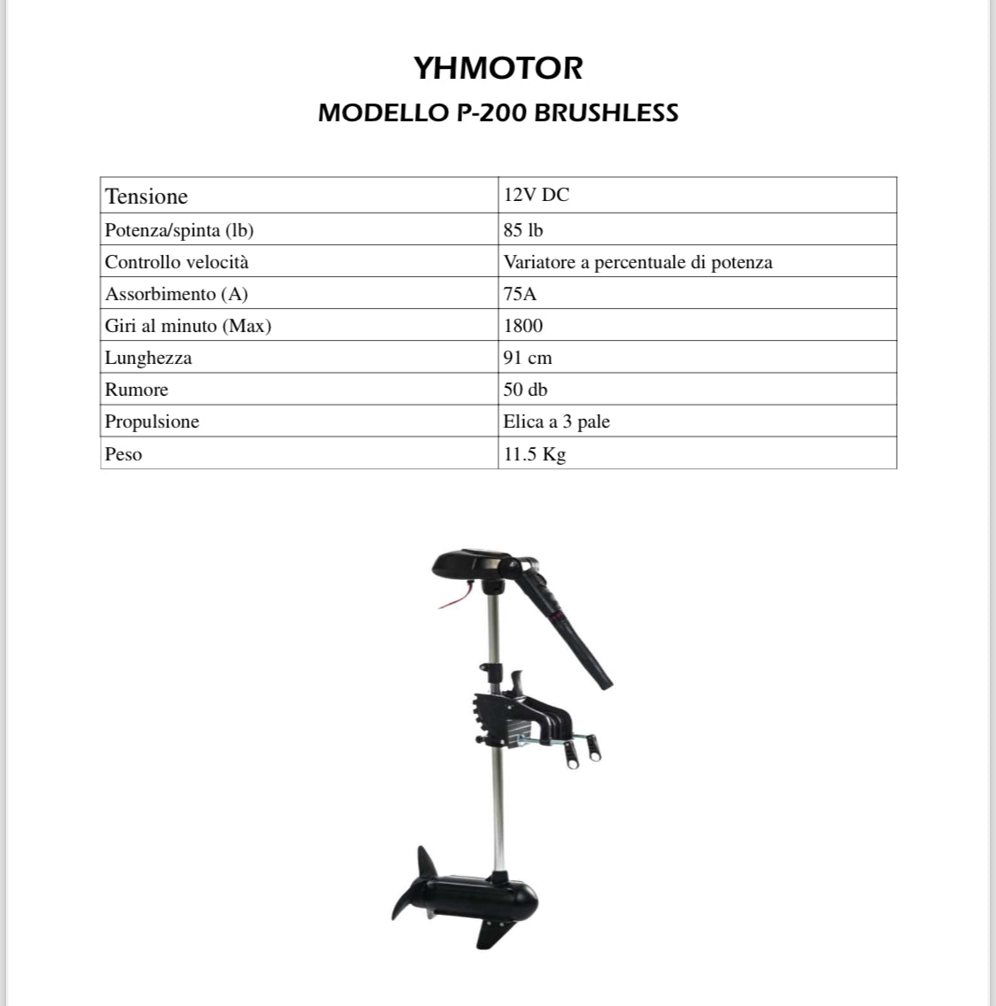 Fuoribordo brushless 12V 85 LB