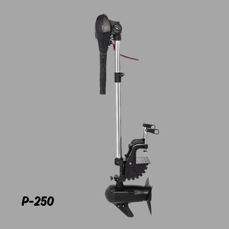 Fuoribordo brushless 12V 55 LB