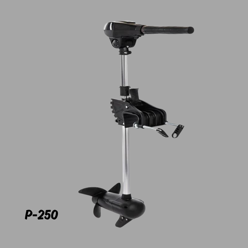 Fuoribordo brushless 12V 55 LB