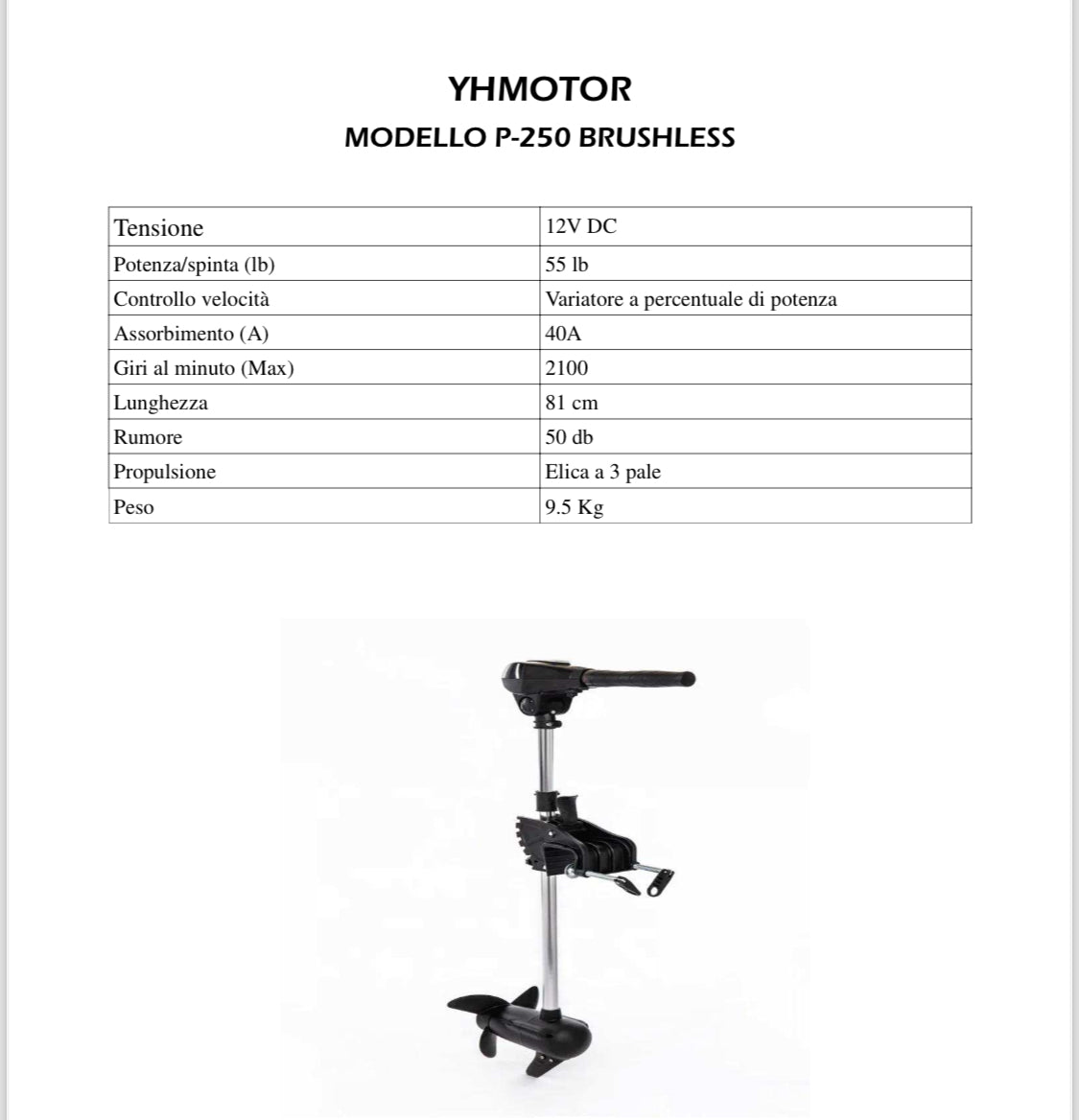 Fuoribordo brushless 12V 55 LB