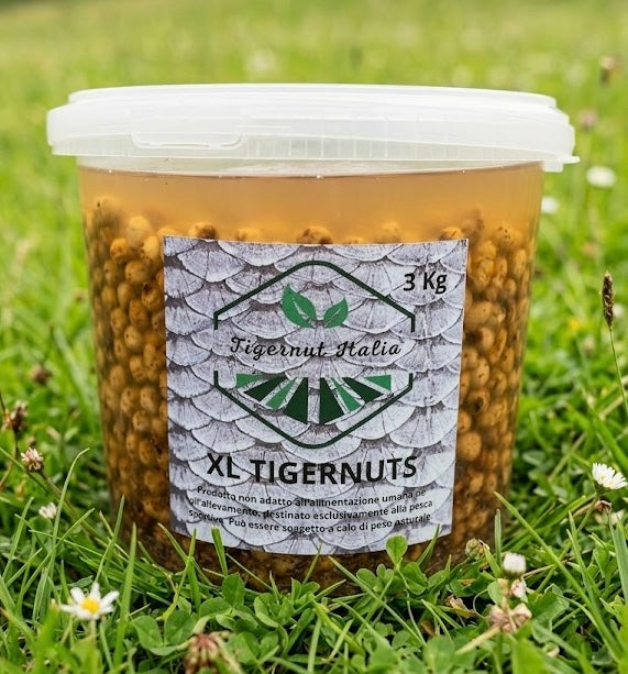Tigernuts XL (15/20mm) COTTE