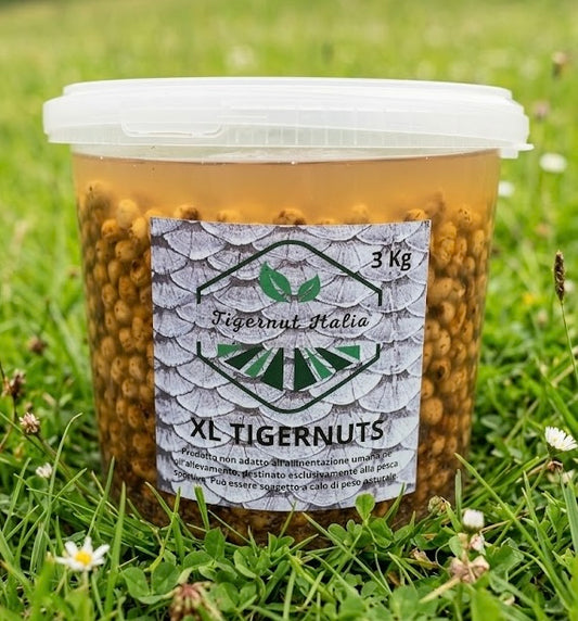 Cooked Tiger Nuts XL (15/20mm)