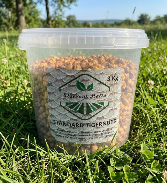Tigernuts standard (13-15mm) COOKED