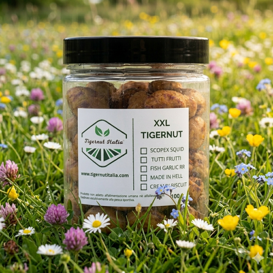 Jumbo Tiger Nuts for Bait