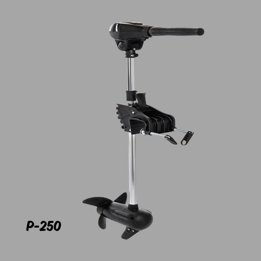 Fuoribordo brushless 12V 55 LB